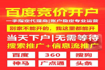 SEM竞价代运营公司案例深度解析